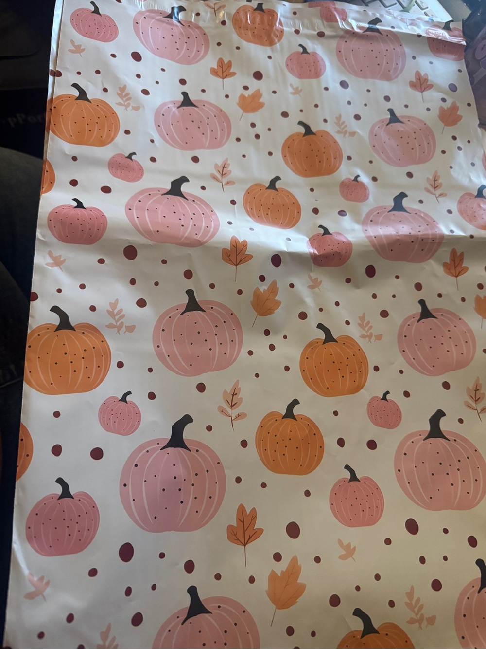 Fall Pumpkin Polymailers 14x19” - Set of 10
